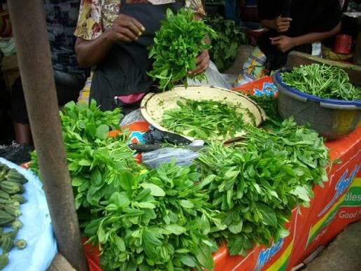Fresh Produce, Okposi