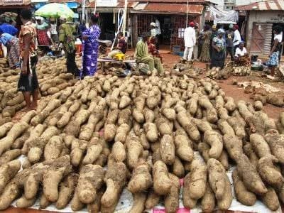 New Yam Festival Celebration